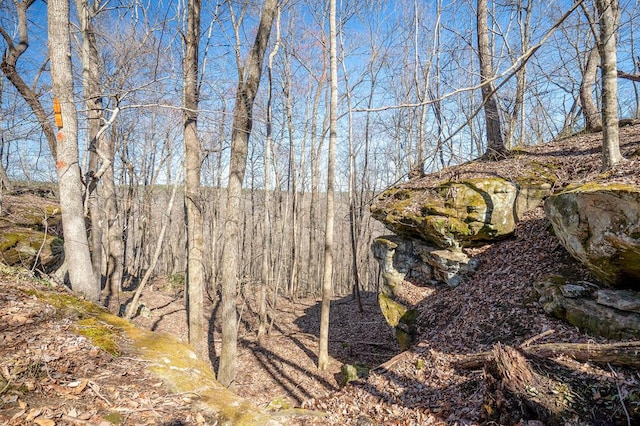 view of local wilderness