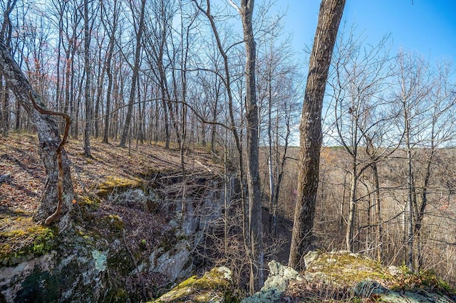 view of local wilderness