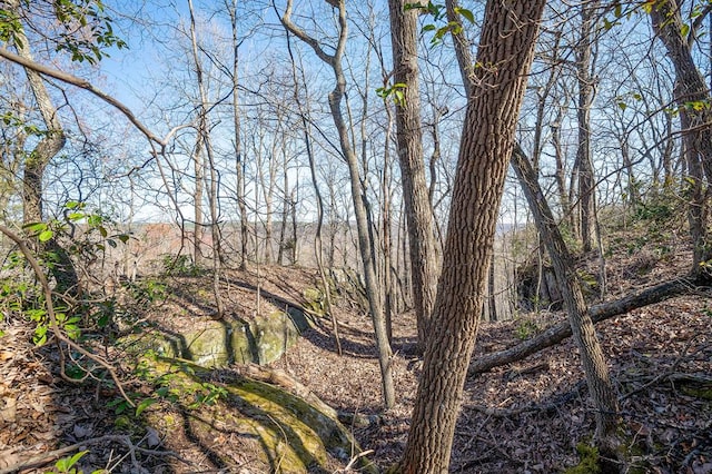 view of local wilderness