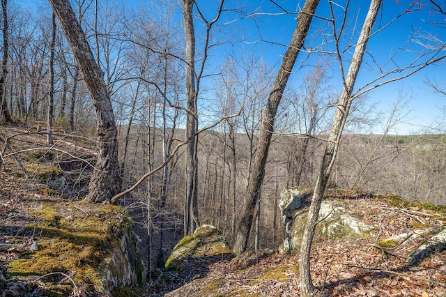 view of landscape featuring a forest view