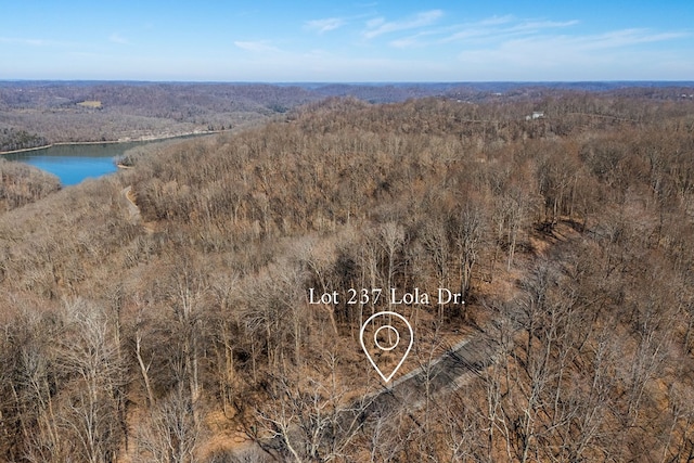 Listing photo 3 for 237 Lola Dr, Smithville TN 37166