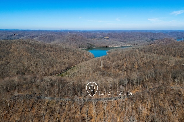 Listing photo 2 for 237 Lola Dr, Smithville TN 37166