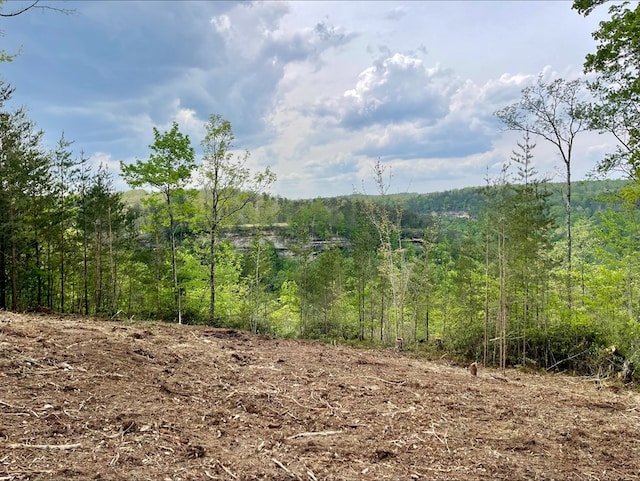 Listing photo 2 for LOT51 Grandview Way, Jamestown TN 38556