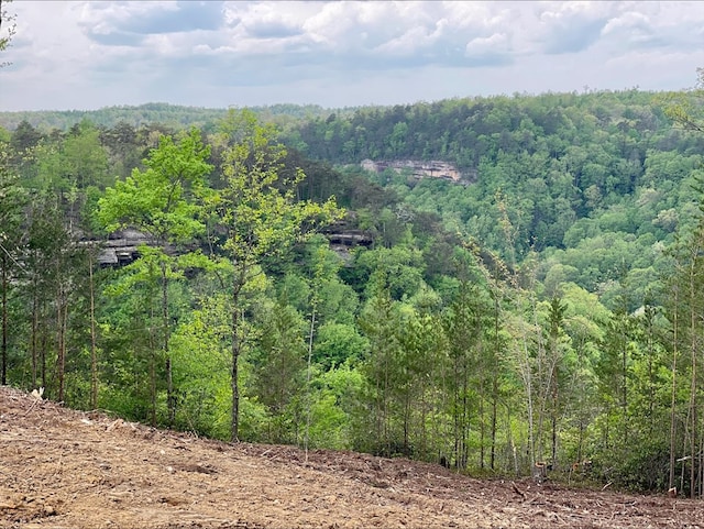 Listing photo 3 for LOT51 Grandview Way, Jamestown TN 38556