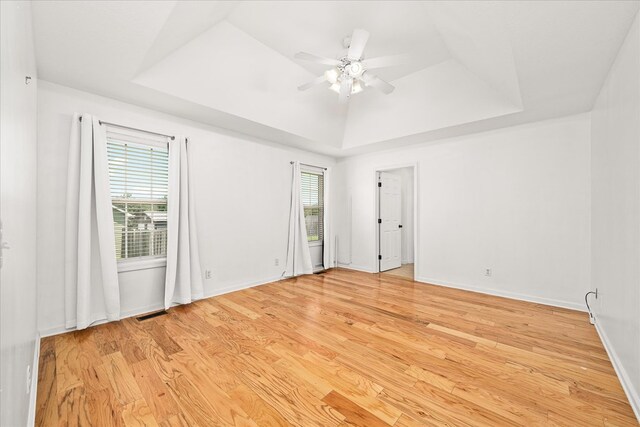 spare room with light wood finished floors, a raised ceiling, and a wealth of natural light