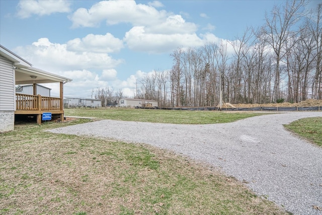 view of yard featuring driveway and a deck