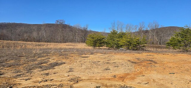 Listing photo 3 for LOT8 Bear Hollow Ln, Livingston TN 38570