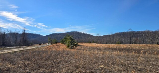 LOT8 Bear Hollow Ln, Livingston TN, 38570 land for sale