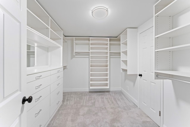 spacious closet featuring light colored carpet