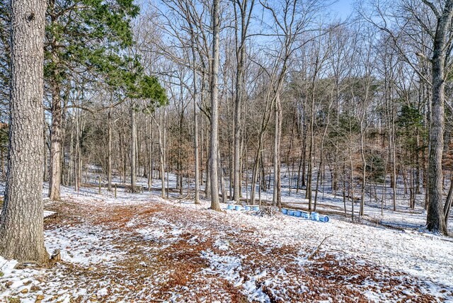 view of snowy landscape