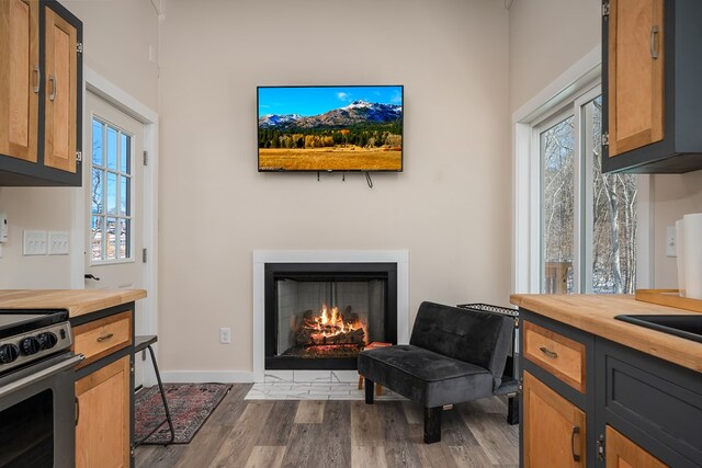 interior space featuring light countertops, brown cabinetry, a fireplace with flush hearth, and stainless steel stove