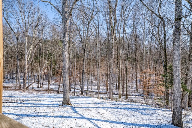 view of snowy yard