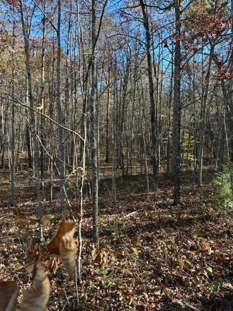 Listing photo 3 for LOT95 Parkstown Rd, Wilder TN 38589