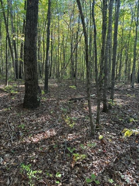 LOT95 Parkstown Rd, Wilder TN, 38589 land for sale