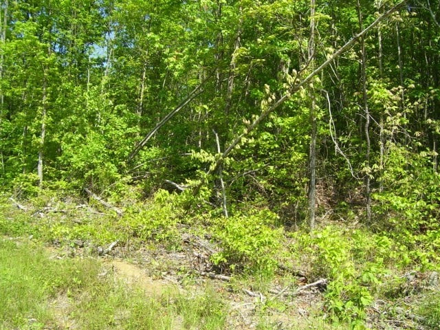 Listing photo 2 for LOT12 E Bobcat Ln, Wilder TN 38589