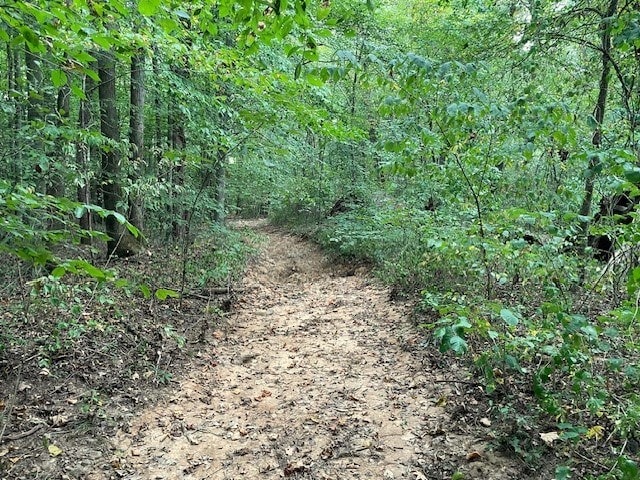 view of local wilderness with a view of trees