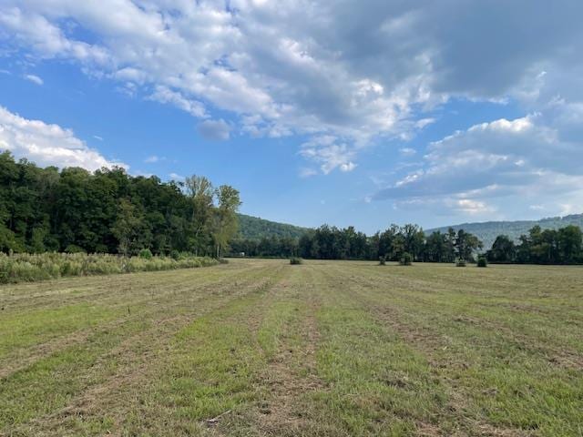 view of nature with a rural view