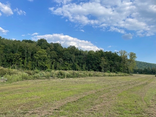 view of nature with a forest view