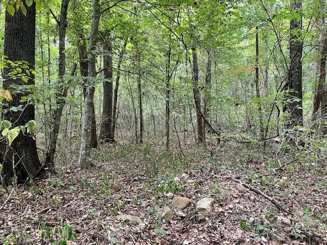 view of landscape featuring a wooded view