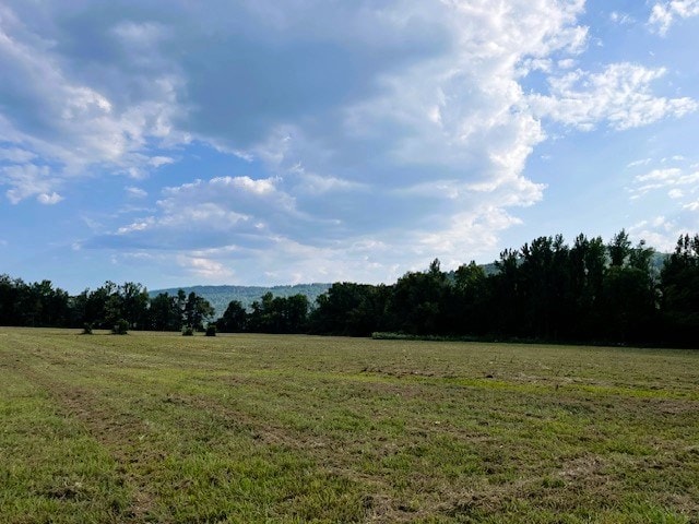 view of landscape with a rural view