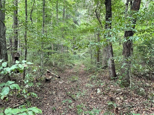 view of nature with a wooded view