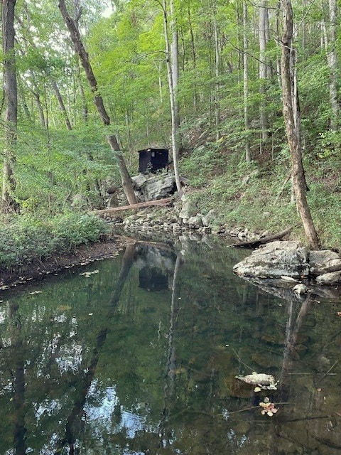 view of landscape featuring a forest view and a water view