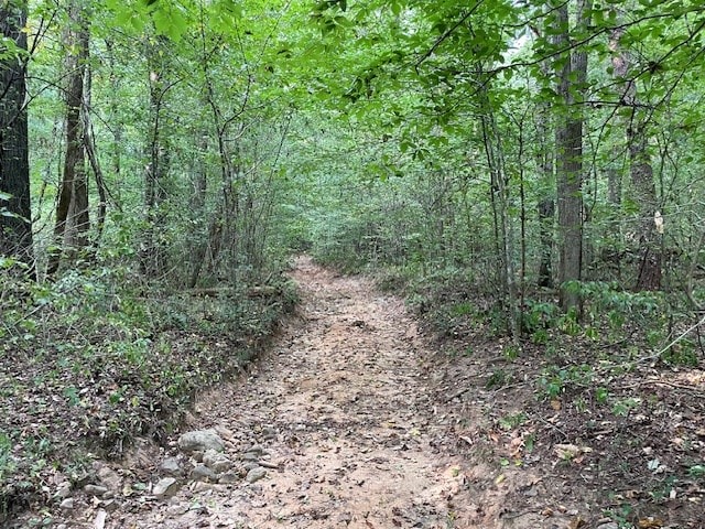 view of nature with a wooded view