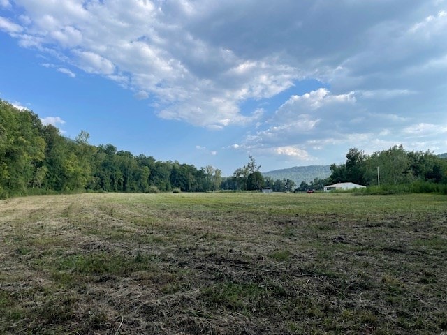 view of local wilderness with a rural view