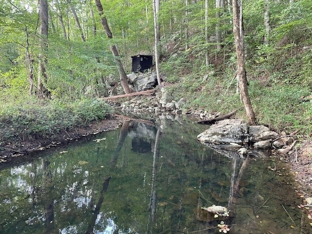 view of landscape featuring a water view and a wooded view