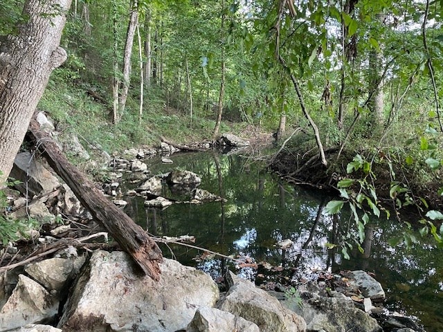 view of nature with a forest view