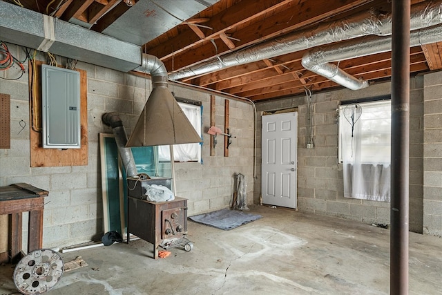 basement featuring electric panel