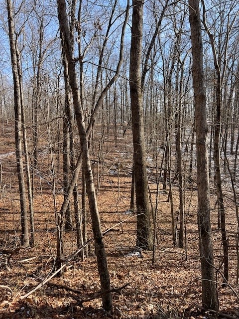 Listing photo 3 for LOT10 Pinney Pl, Monterey TN 38574