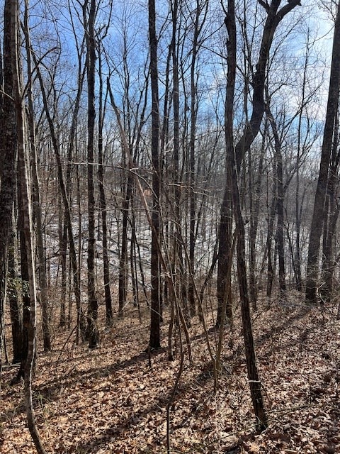 Listing photo 2 for LOT10 Pinney Pl, Monterey TN 38574