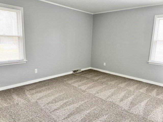 carpeted empty room with baseboards and ornamental molding