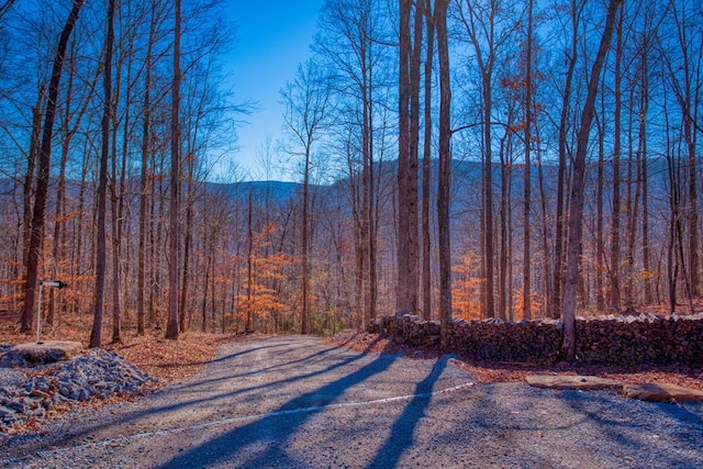 view of road with a mountain view and a forest view