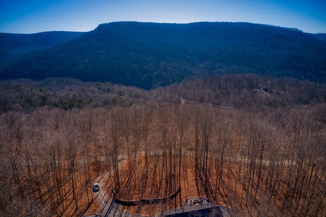 view of mountain feature