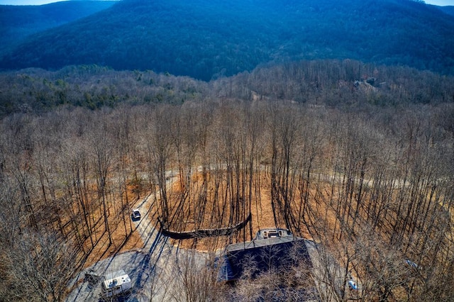 drone / aerial view with a mountain view and a forest view