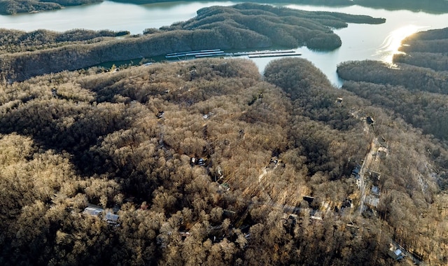 mountain view featuring a water view and a view of trees