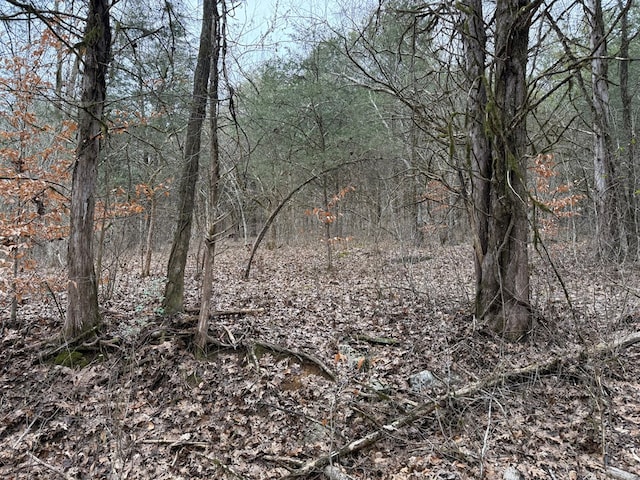 Listing photo 2 for 37.88AC Cook Ln, Gainesboro TN 38562