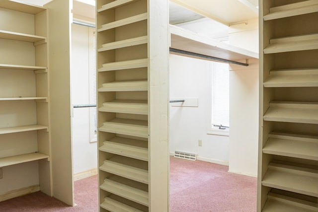 walk in closet with visible vents and carpet flooring