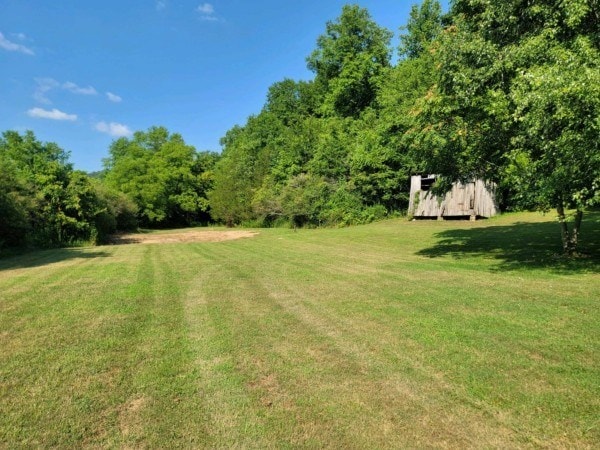 view of yard with a storage shed