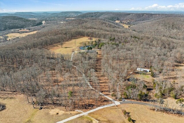 birds eye view of property featuring a rural view and a mountain view