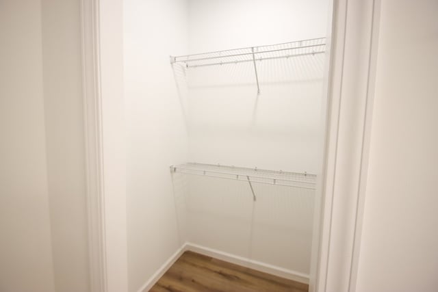 walk in closet featuring wood finished floors