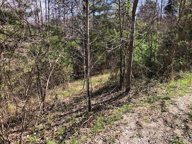 Listing photo 2 for LOT10 Livingston Hwy, Monroe TN 38573