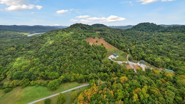 bird's eye view with a forest view