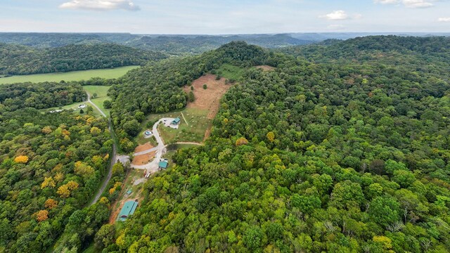 aerial view with a forest view