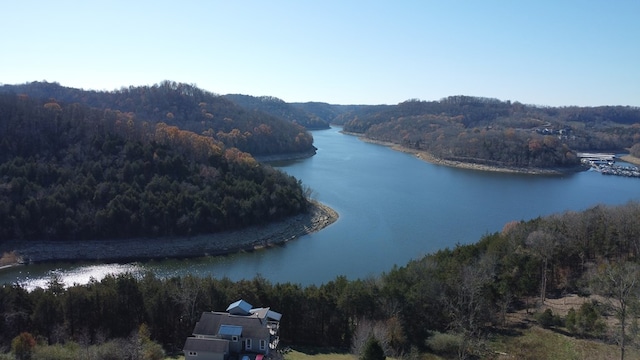 Listing photo 3 for 51 Hope Cv, Smithville TN 38583