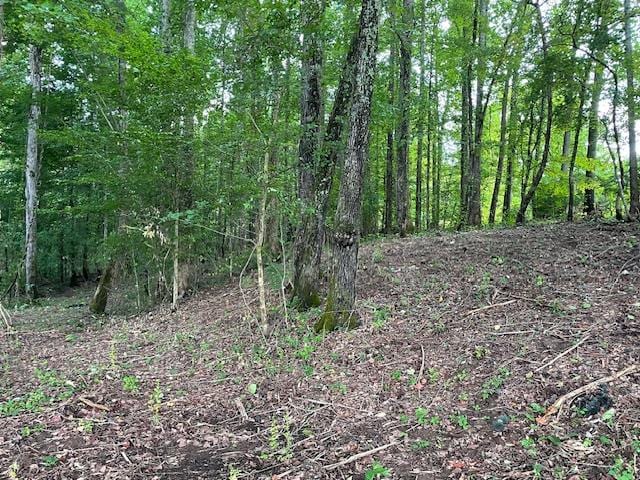 822 Myers Cove Rd, Mcminnville TN, 37110 land for sale