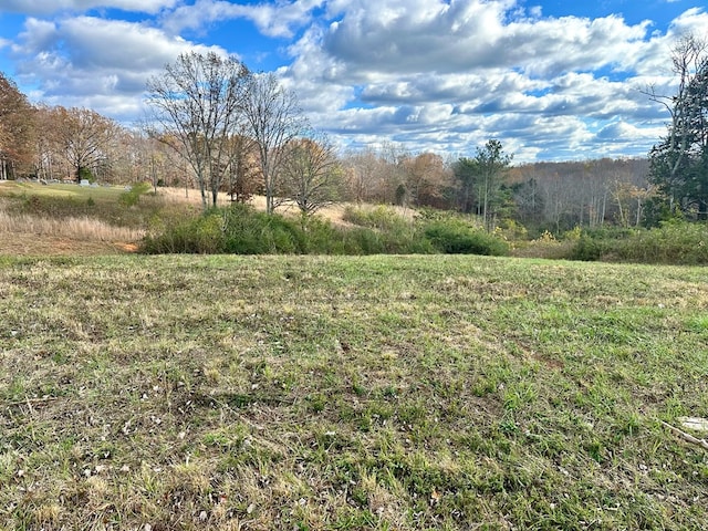 Listing photo 2 for 0 Burgess Falls Rd, Baxter TN 38544