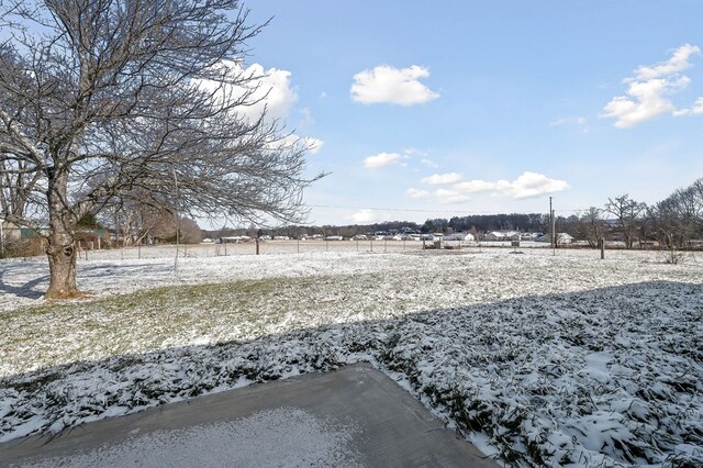 view of yard layered in snow